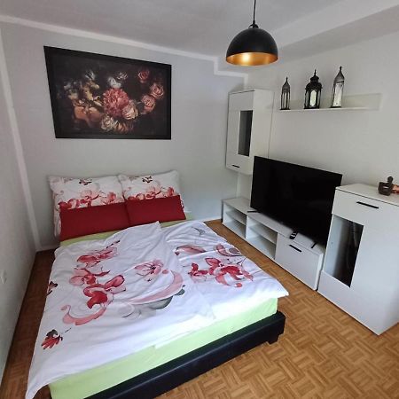 Wohnung Im Nationalpark Kalkalpen 1 Reichraming Εξωτερικό φωτογραφία