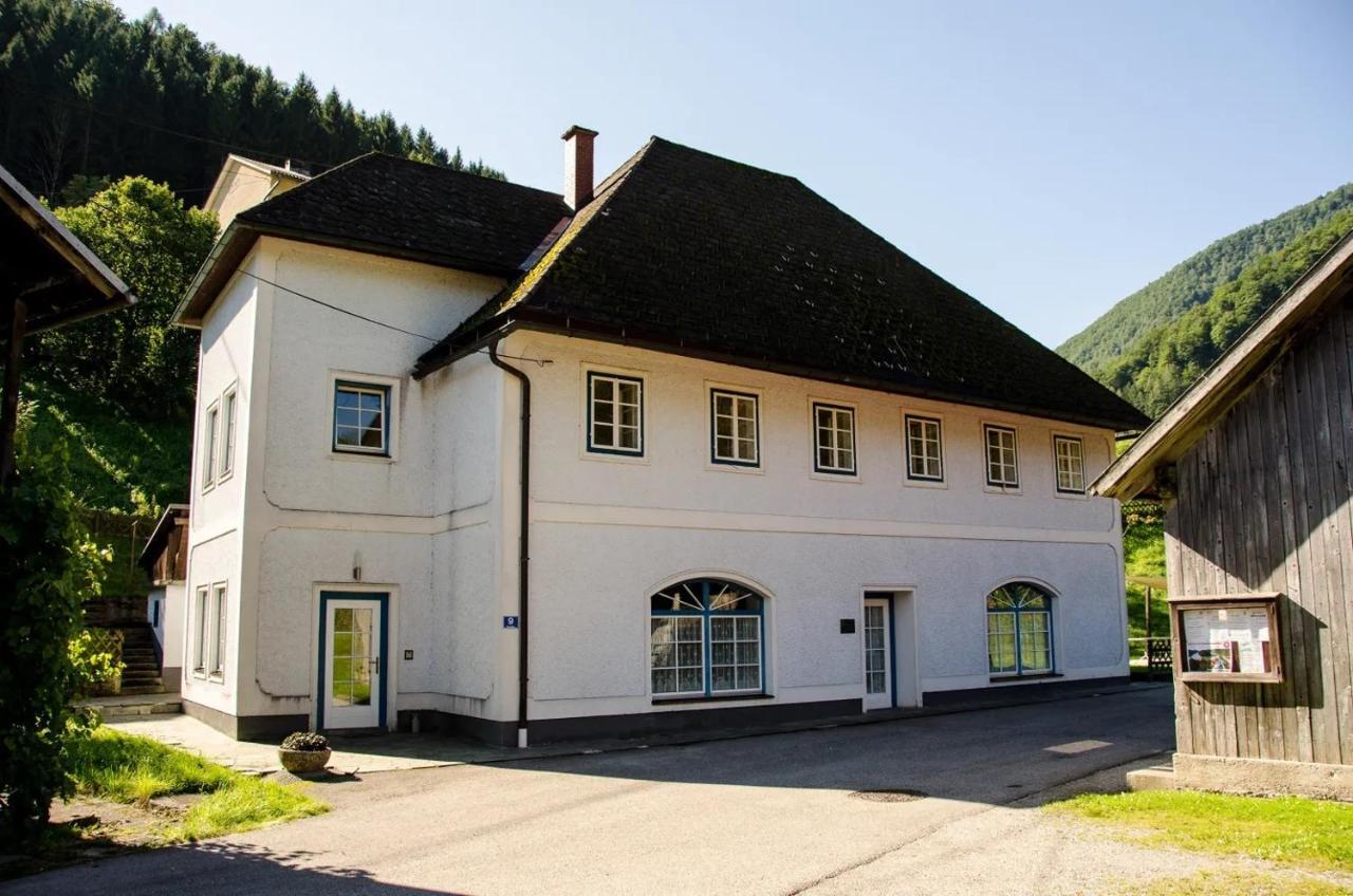 Wohnung Im Nationalpark Kalkalpen 1 Reichraming Εξωτερικό φωτογραφία